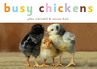 Busy Chickens (A Busy Book)