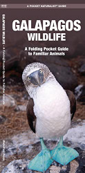 Galapagos Wildlife: A Folding Pocket Guide to Familiar Animals