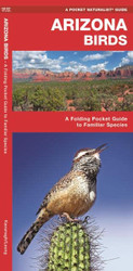 Arizona Birds (Wildlife and Nature Identification)