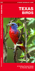 Texas Birds: A Folding Pocket Guide to Familiar Species