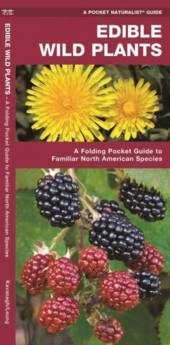 Edible Wild Plants: A Folding Pocket Guide to Familiar North American