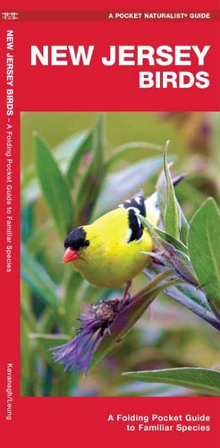 New Jersey Birds: A Folding Pocket Guide to Familiar Species
