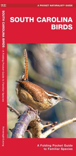 South Carolina Birds: A Folding Pocket Guide to Familiar Species