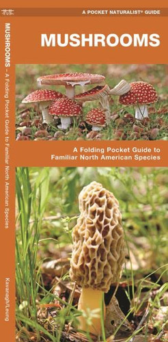 Mushrooms: A Folding Pocket Guide to Familiar North American Species