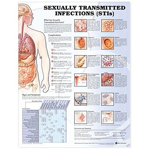 Sexually Transmitted Infections Anatomical Chart
