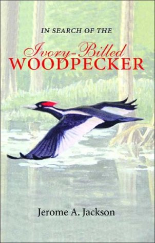 In Search of the Ivory-Billed Woodpecker