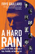 Hard Rain: America in the 1960s Our Decade of Hope Possibility
