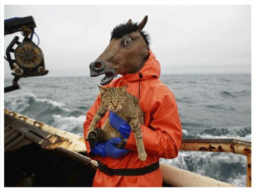 Fish-Work: The Bering Sea