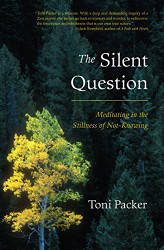 Silent Question: Meditating in the Stillness of Not-Knowing