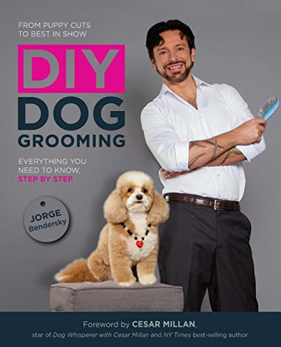 DIY Dog Grooming From Puppy Cuts to Best in Show