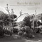 Places for the Spirit: Traditional African American Gardens