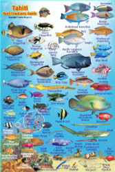 Tahiti Reef Creatures Guide Franko Maps Laminated Fish Card 4"x6"