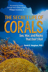 Secret Life of Corals: Sex War and Rocks that Don't Roll