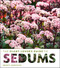 Plant Lover's Guide to Sedums (The Plant Lover's Guides)