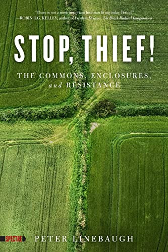 Stop Thief! The Commons Enclosures and Resistance (Spectre)