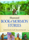 Illustrated Book of Mormon Stories