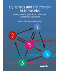 Dynamics and Bifurcation in Networks