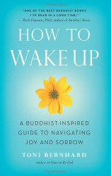 How to Wake Up: A Buddhist-Inspired Guide to Navigating Joy