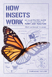 How Insects Work: An Illustrated Guide to the Wonders of Form