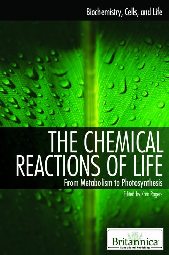 Chemical Reactions of Life: From Metabolism to Photosynthesis
