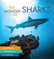 Wonder of Sharks