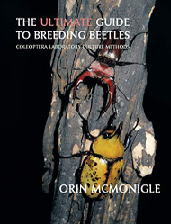 Ultimate Guide to Breeding Beetles