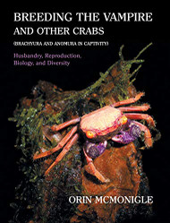 Breeding the Vampire and Other Crabs - Brachyura and Anomura