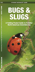 Bugs & Slugs: A Folding Pocket Guide to Familiar North American