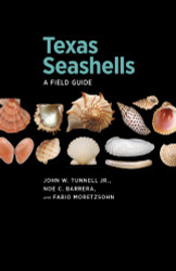 Texas Seashells: A Field Guide