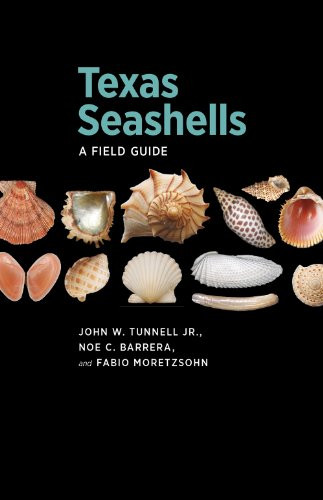 Texas Seashells: A Field Guide