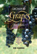 Growing Grapes in Texas