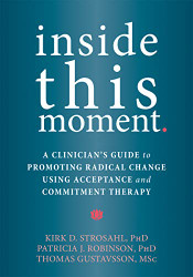 Inside This Moment: A Clinician's Guide to Promoting Radical Change