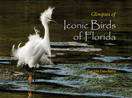 Iconic Birds of Florida