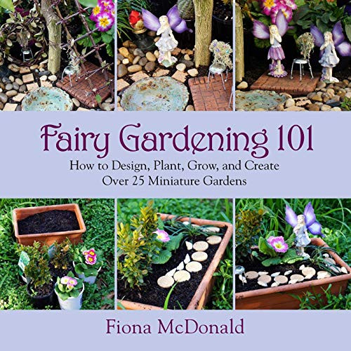 Fairy Gardening 101: How to Design Plant Grow and Create Over 25