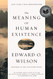 Meaning of Human Existence