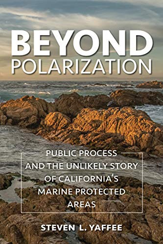 Beyond Polarization: Public Process and the Unlikely Story