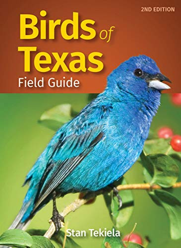 Birds of Texas Field Guide