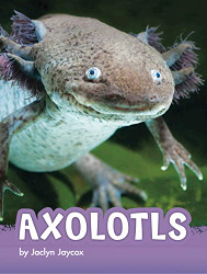 Axolotls (Animals)