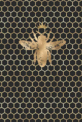 Queen Bee: Lined Journal