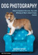 Dog Photography: How to Capture the Love Fun and Whimsy of Man's