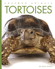 Tortoises (Amazing Animals)