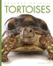 Tortoises (Amazing Animals)