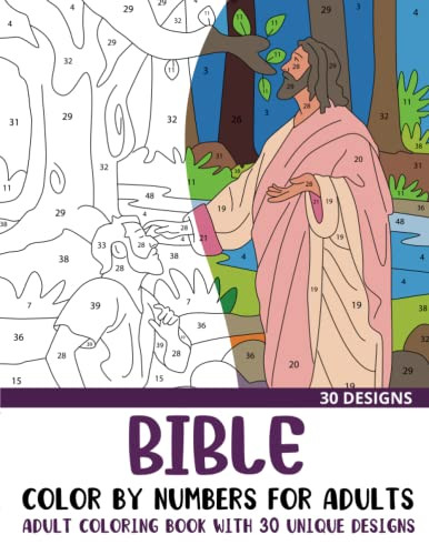 Bible Color by Numbers for Adults by Sonia Rai