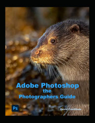 Adobe Photoshop the Photographers Guide: (2022 Release)