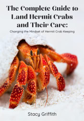 Complete Guide to Land Hermit Crabs and Their Care