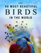 40 Most Beautiful Birds in the World