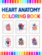 Heart Anatomy Coloring Book