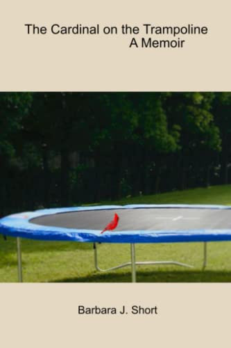 Cardinal on the Trampoline