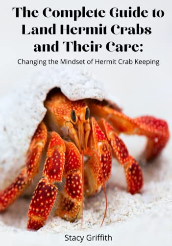 Complete Guide to Land Hermit Crabs and Their Care