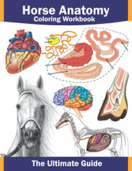 Horse anatomy coloring workbook